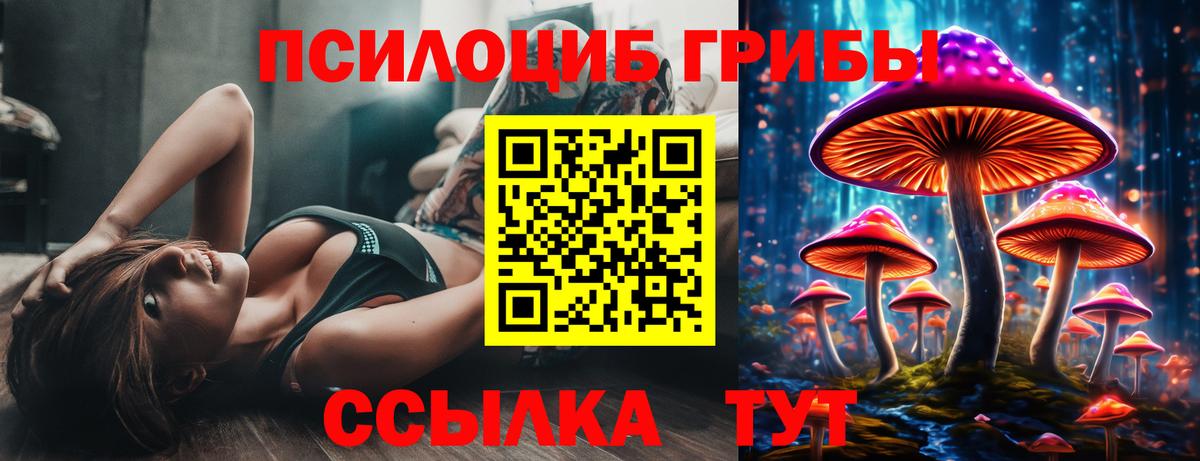 Псилоцибиновые грибы ЛСД  Вход с VPN  Пенза  Галлюциногенные грибы Cubensis 